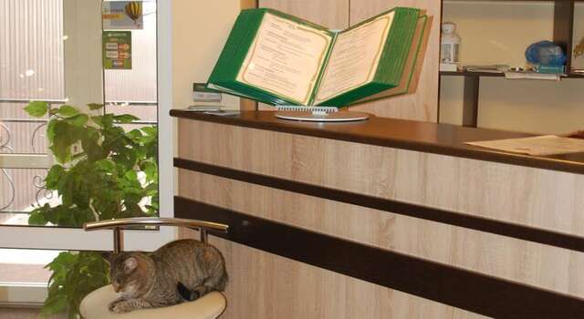 Гостиница Small Hotel Смоленск-32